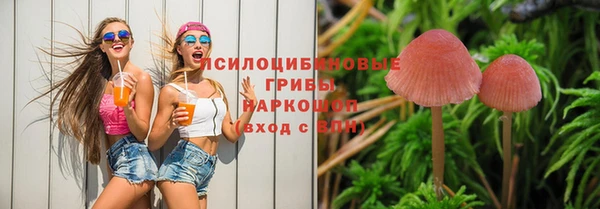 Альфа ПВП Богородск